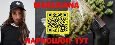 шишки Камышлов