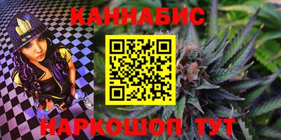 шишки Камышлов