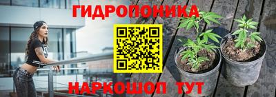 шишки Камышлов