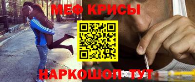 шишки Камышлов