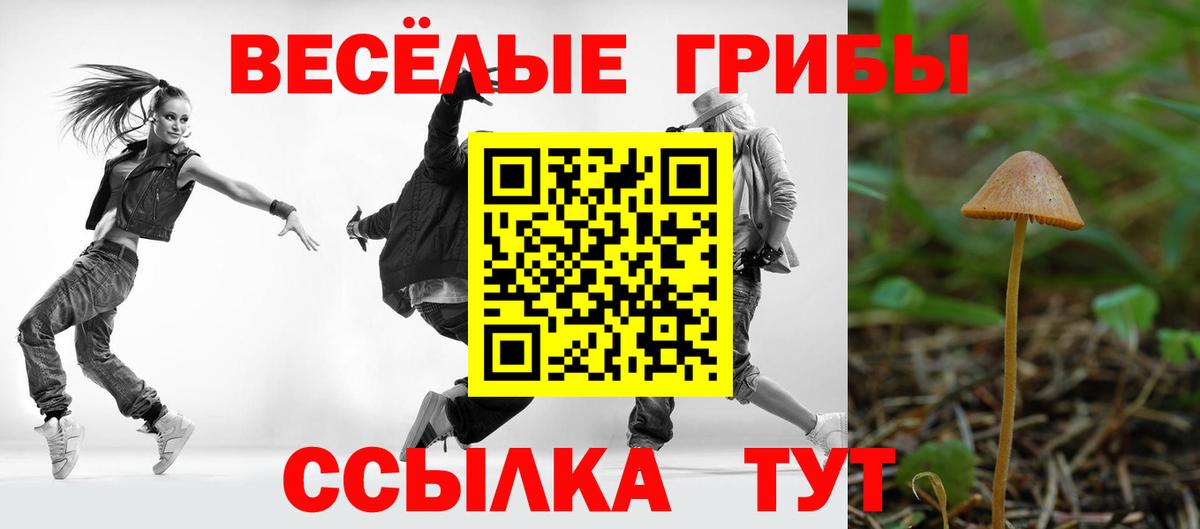 Галлюциногенные грибы прущие грибы  Вход с VPN  Лениногорск 