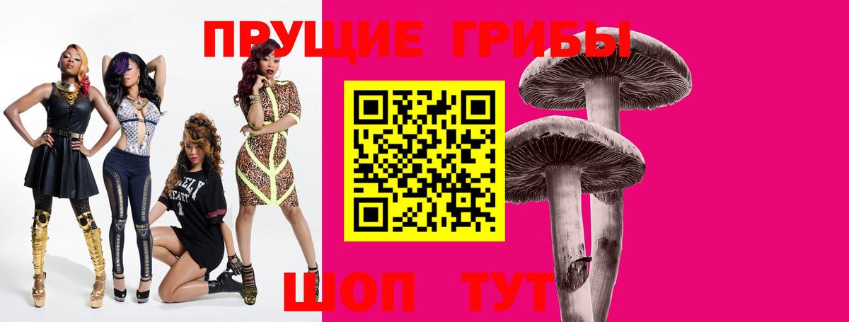 Галлюциногенные грибы Cubensis Лениногорск
